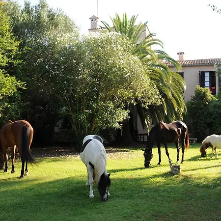 Agroturismo Son Baulo *