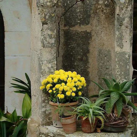 Agroturismo Son Baulo *